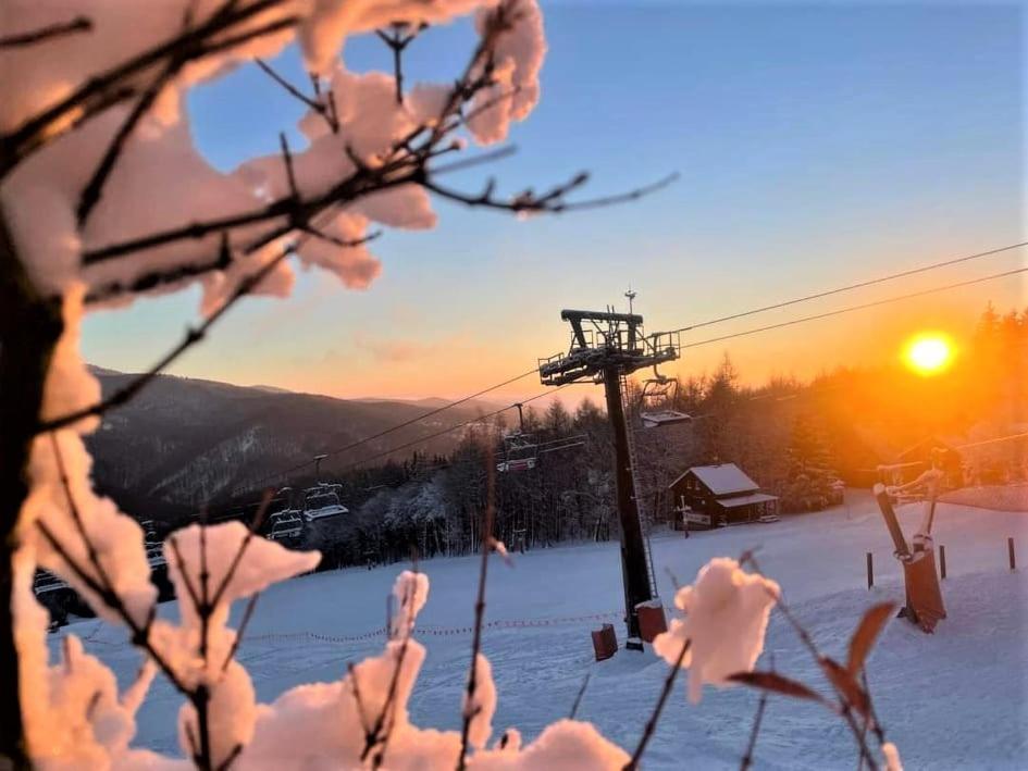 Ubytovani U Janicky Klíny Exteriör bild